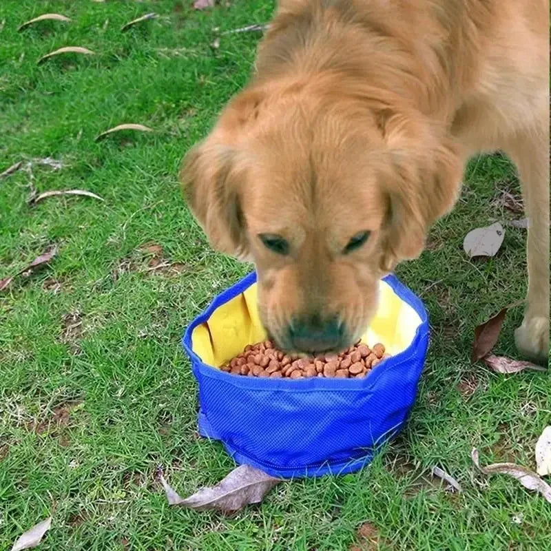 Foldable Dog Travel Bowl With Food Storage