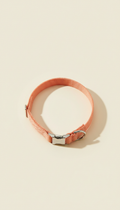 Collar de nylon color albaricoque