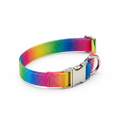 Collar ajustable colorido para mascotas